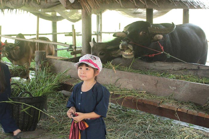 ที่เที่ยวสุพรรณบุรี ที่เที่ยวสุพรรณบุรี