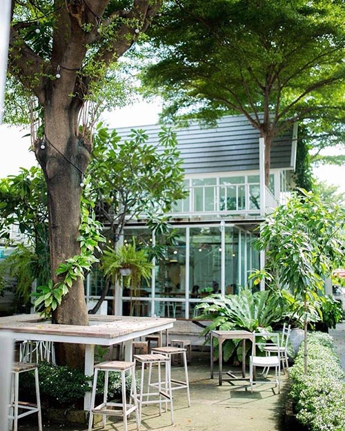 ร้านกาแฟ นั่งทำงาน ร้านกาแฟ นั่งทำงาน