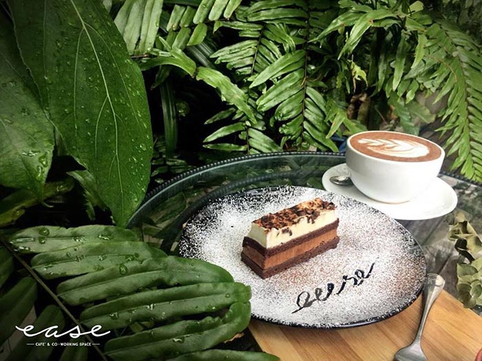 ร้านกาแฟ นั่งทำงาน ร้านกาแฟ นั่งทำงาน
