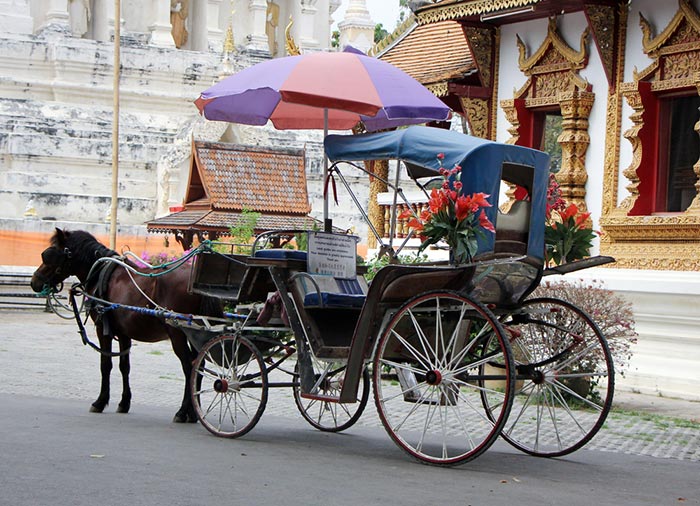 เวียงกุมกาม เวียงกุมกาม