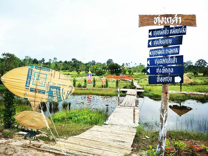 ทุ่งดอกกระดุมเงินกระดุมทอง ทุ่งดอกกระดุมเงินกระดุมทอง