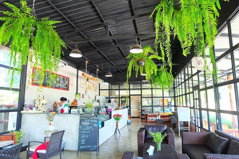 ร้านกาแฟสกลนคร ร้านกาแฟสกลนคร