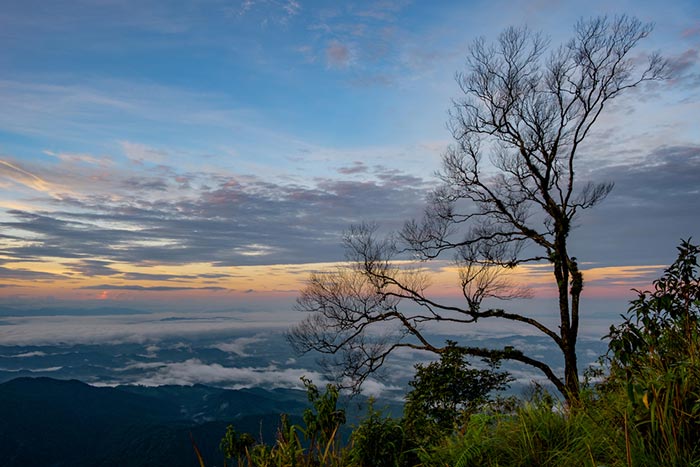 ที่เที่ยวน่าน อุทยานแห่งชาติดอยภูคา
