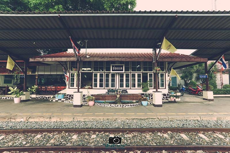 ทุ่งปอเทืองบ้านเขาวงษ์ ทุ่งปอเทืองบ้านเขาวงษ์