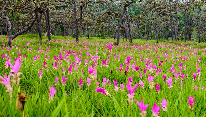 เที่ยวเมืองรอง เที่ยวเมืองรอง