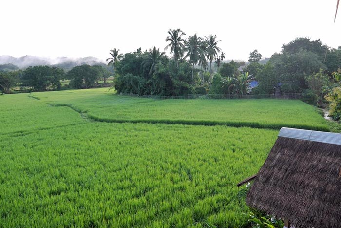 ที่พักวิวสวย ที่พักวิวสวย