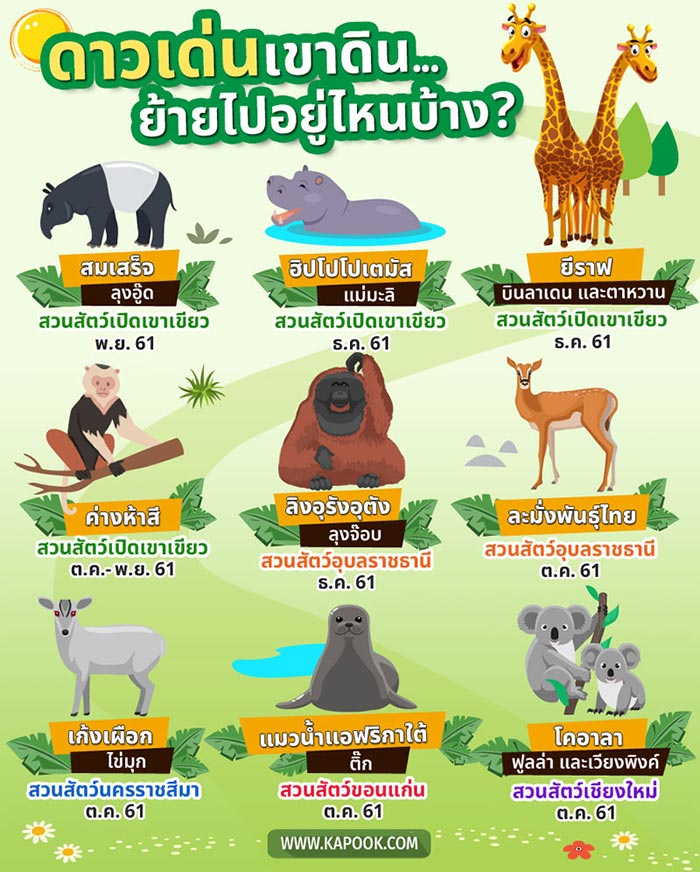 สัตว์ดาวเด่นเขาดินย้ายไปไหนบ้าง สัตว์ดาวเด่นเขาดินย้ายไปไหนบ้าง