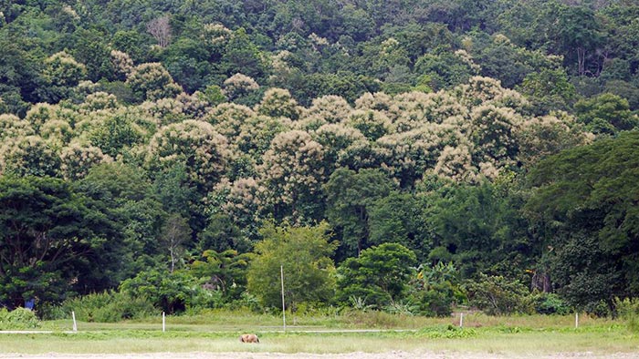ที่เที่ยวเชียงใหม่ ที่เที่ยวเชียงใหม่