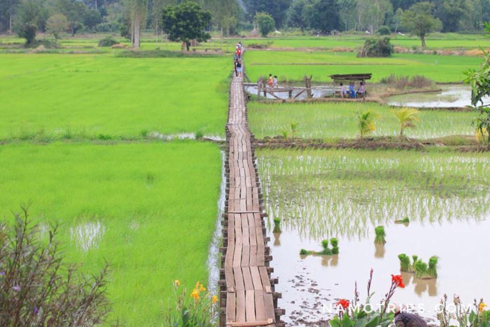 เที่ยวโคราช เที่ยวโคราช