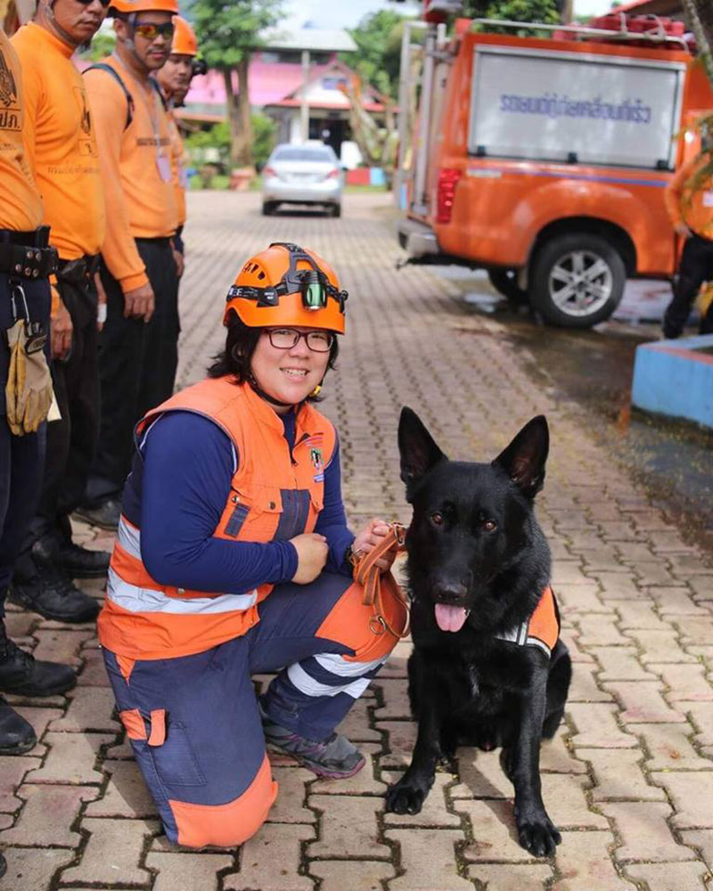 เจ้าทิกเกอร์ สุนัข K-9 ร่วมภารกิจหาปล่องที่ถ้ำหลวง แม้ทางชัน แต่น้องขอสู้ เจ้าทิกเกอร์ สุนัข K-9 ร่วมภารกิจหาปล่องที่ถ้ำหลวง แม้ทางชัน แต่น้องขอสู้