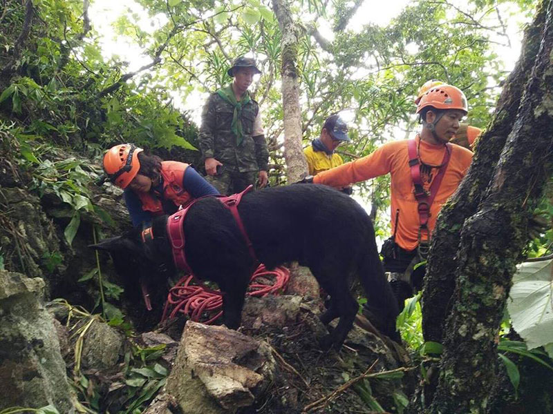 เจ้าทิกเกอร์ สุนัข K-9 ร่วมภารกิจหาปล่องที่ถ้ำหลวง แม้ทางชัน แต่น้องขอสู้ เจ้าทิกเกอร์ สุนัข K-9 ร่วมภารกิจหาปล่องที่ถ้ำหลวง แม้ทางชัน แต่น้องขอสู้