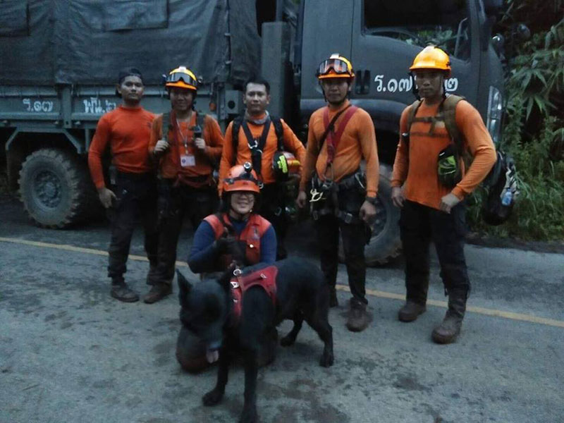 เจ้าทิกเกอร์ สุนัข K-9 ร่วมภารกิจหาปล่องที่ถ้ำหลวง แม้ทางชัน แต่น้องขอสู้ เจ้าทิกเกอร์ สุนัข K-9 ร่วมภารกิจหาปล่องที่ถ้ำหลวง แม้ทางชัน แต่น้องขอสู้