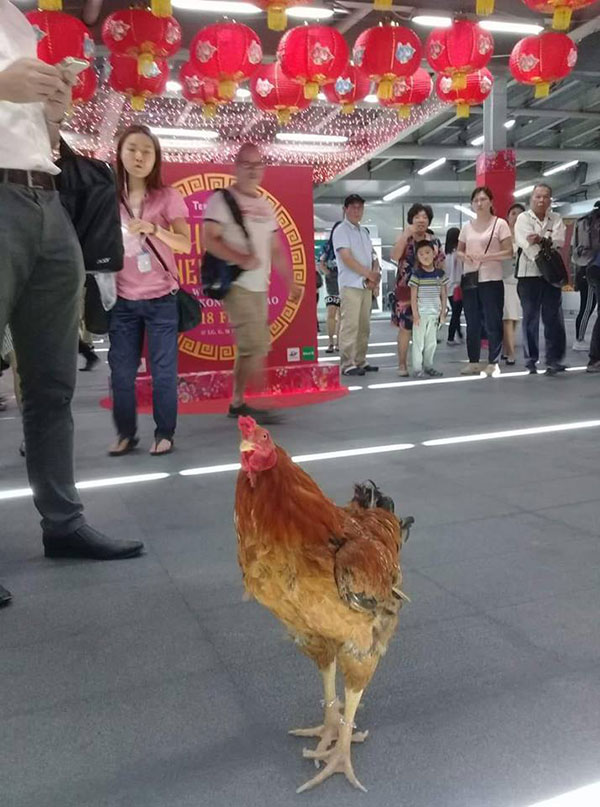 เปิดโปรไฟล์ ไอ้เหลือง ไก่คู่ใจจ้อย ในบุพเพสันนิวาส นอกจอเซเลบมาก เปิดโปรไฟล์ ไอ้เหลือง ไก่คู่ใจจ้อย ในบุพเพสันนิวาส นอกจอเซเลบมาก