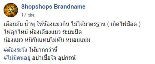 เตือนภัยน้ำพุแมวไม่ได้มาตรฐาน เตือนภัยน้ำพุแมวไม่ได้มาตรฐาน