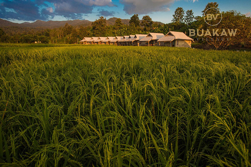 บัวขาว วิลเลจ รีสอร์ต-ค่ายมวยของ บัวขาว บัญชาเมฆ บัวขาว วิลเลจ รีสอร์ต-ค่ายมวยของ บัวขาว บัญชาเมฆ