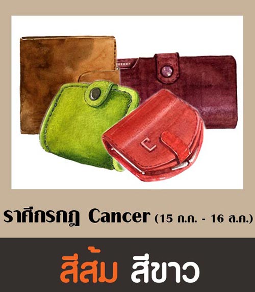สีกระเป๋าสตางค์ตามราศี 2561 สีกระเป๋าสตางค์ตามราศี 2561
