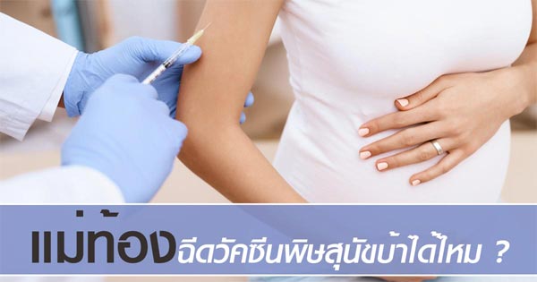 คนท้องฉีดวัคซีนพิษสุนัขบ้า คนท้องฉีดวัคซีนพิษสุนัขบ้า