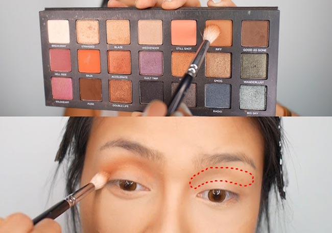 แพร วทานิกา แพร วทานิกา