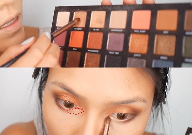 แพร วทานิกา แพร วทานิกา