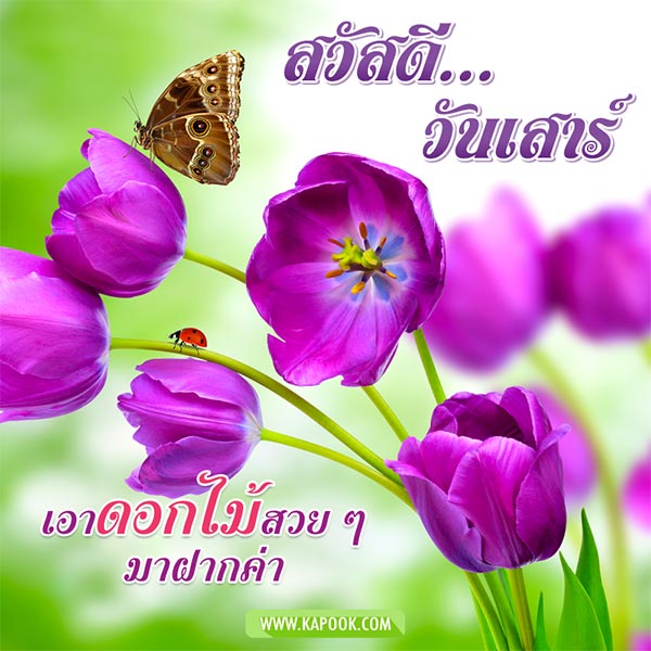 ดูดวงรายวัน ดูดวงรายวัน