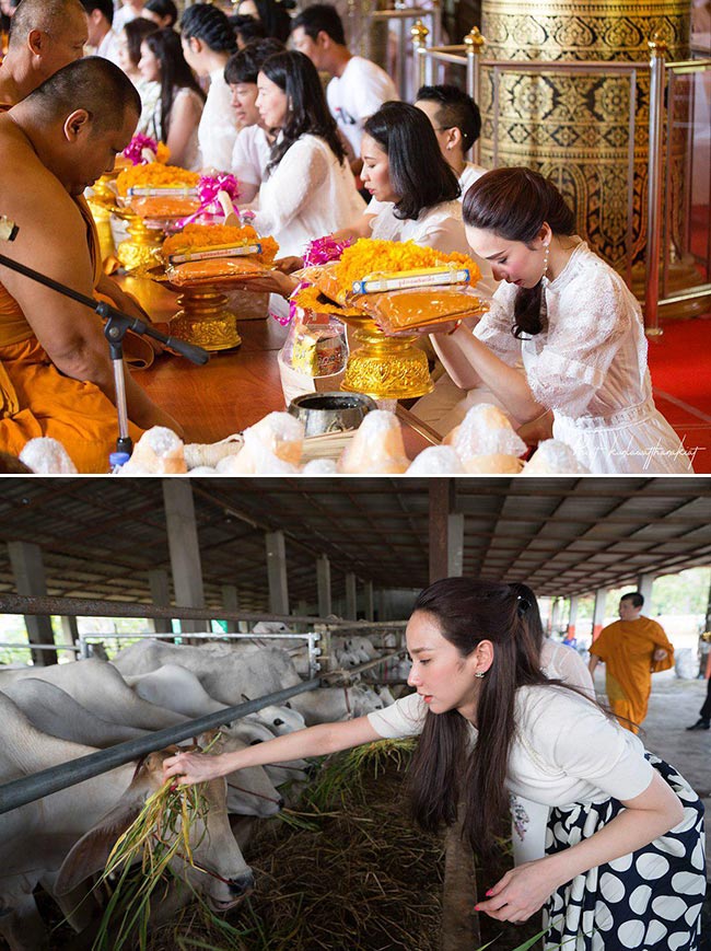 ดาราหญิง ดาราหญิง