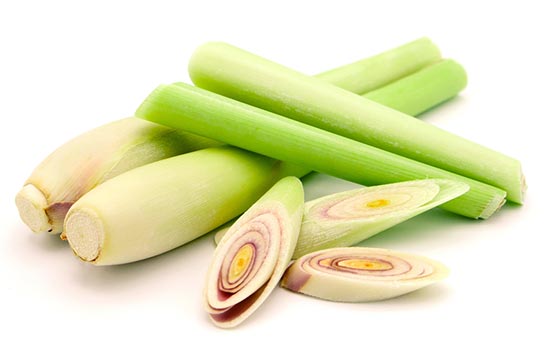 เคล็ดลับผมสวย เคล็ดลับผมสวย