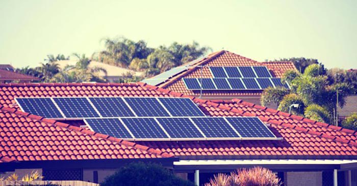 อีลอน มัสก์ อีลอน มัสก์