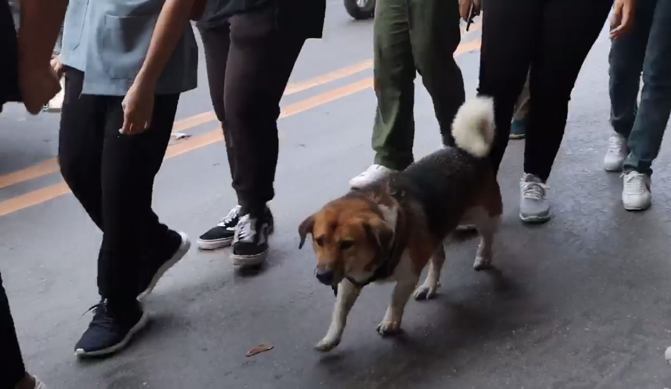 รับน้องขึ้นดอย รับน้องขึ้นดอย