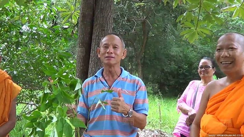 อังกาบหนู อังกาบหนู