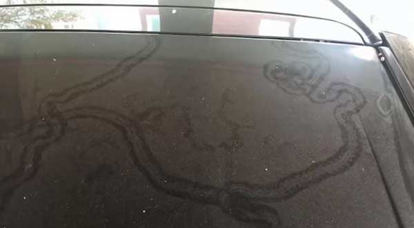 รอยพญานาค รอยพญานาค