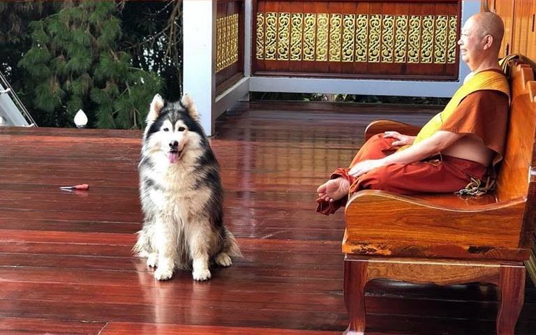 ขึ้นทะเบียนสัตว์ ขึ้นทะเบียนสัตว์