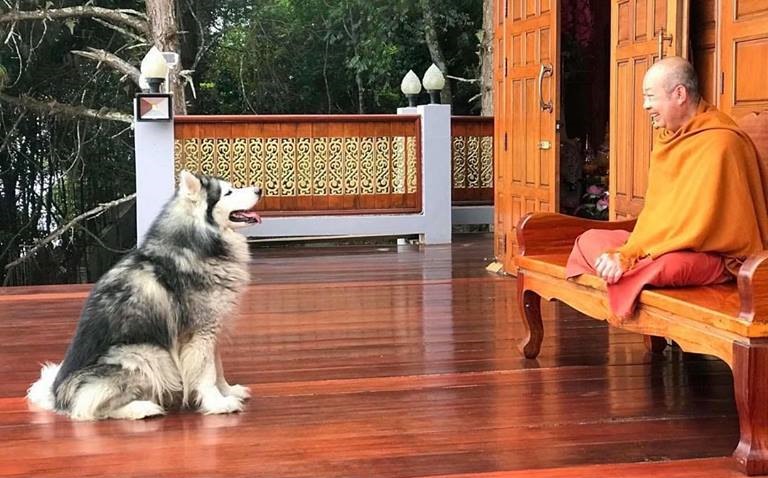 ขึ้นทะเบียนสัตว์ ขึ้นทะเบียนสัตว์