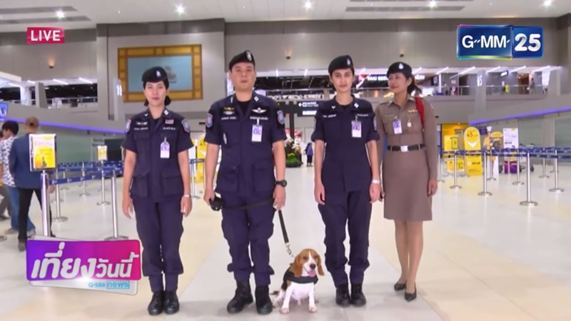 ลูก้า สุนัขตำรวจตรีพันธุ์บีเกิล ลูก้า สุนัขตำรวจตรีพันธุ์บีเกิล