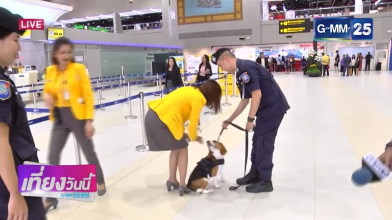 ลูก้า สุนัขตำรวจตรีพันธุ์บีเกิล ลูก้า สุนัขตำรวจตรีพันธุ์บีเกิล