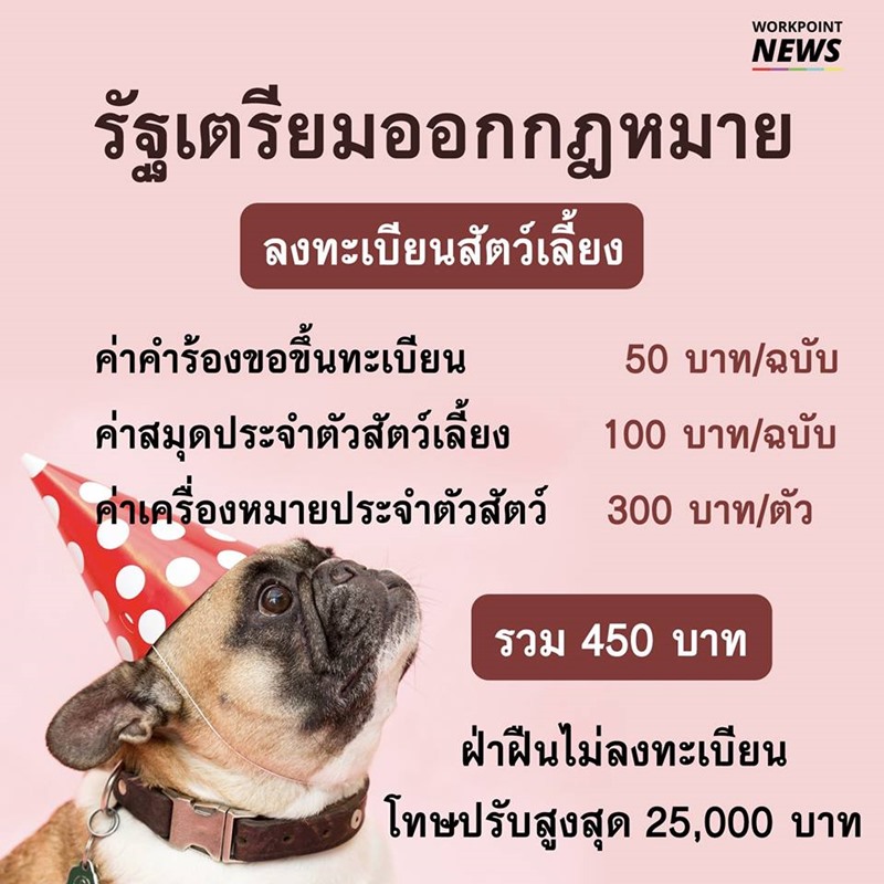 ขึ้นทะเบียนสัตว์เลี้ยง ขึ้นทะเบียนสัตว์เลี้ยง