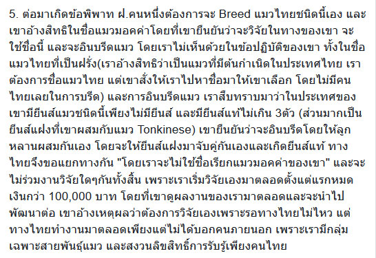 วิฬาร์กรุงเทพ แมวไทยสายพันธุ์ใหม่ วิฬาร์กรุงเทพ แมวไทยสายพันธุ์ใหม่
