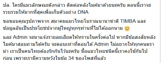 วิฬาร์กรุงเทพ แมวไทยสายพันธุ์ใหม่ วิฬาร์กรุงเทพ แมวไทยสายพันธุ์ใหม่