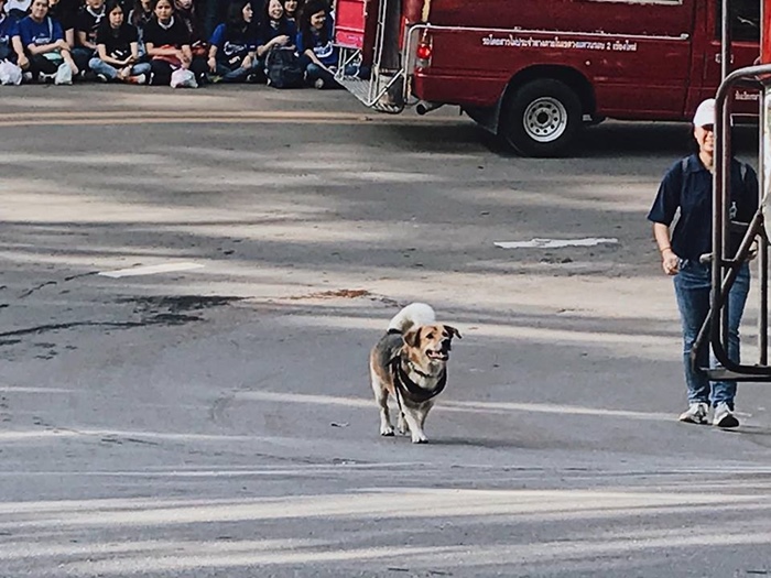 รับน้องขึ้นดอย รับน้องขึ้นดอย