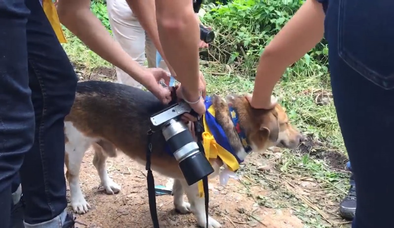 รับน้องขึ้นดอย รับน้องขึ้นดอย