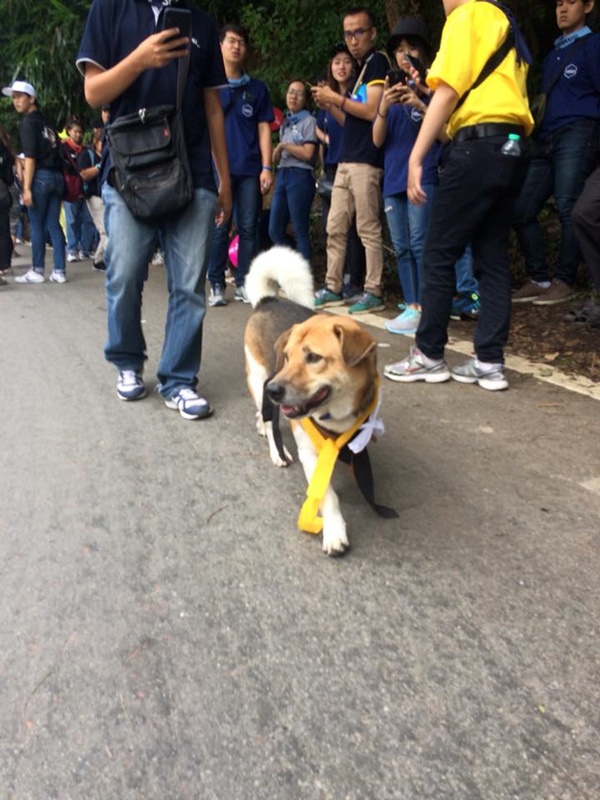 รับน้องขึ้นดอย รับน้องขึ้นดอย