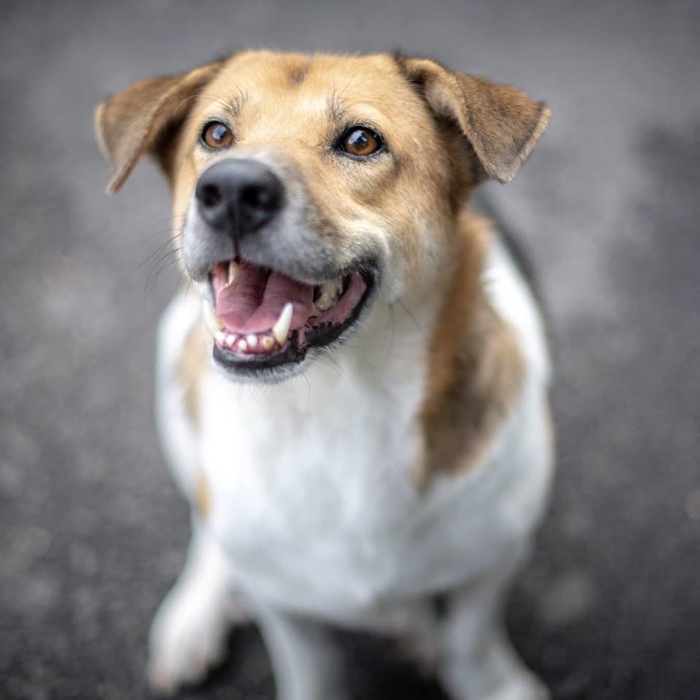 รับน้องขึ้นดอย รับน้องขึ้นดอย