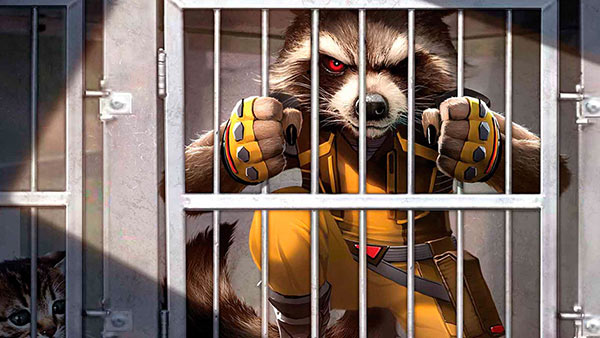 Rocket Raccoon Rocket Raccoon