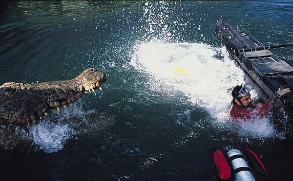 หนังสัตว์ทำร้ายคน หนังสัตว์ทำร้ายคน