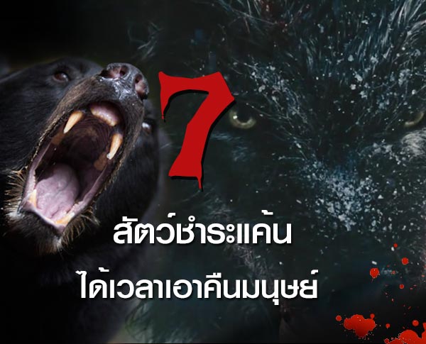 หนังสัตว์ทำร้ายคน หนังสัตว์ทำร้ายคน