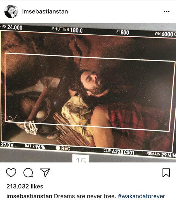 Black Panther Black Panther