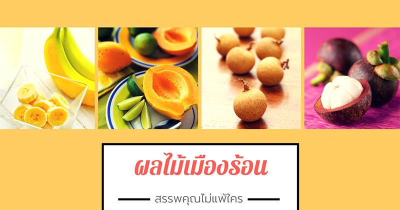 ผลไม้เมืองร้อน ผลไม้เมืองร้อน