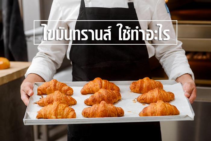 ไขมันทรานส์ ไขมันทรานส์