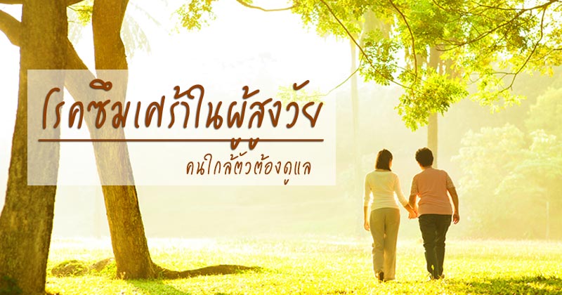 โรคซึมเศร้า โรคซึมเศร้า