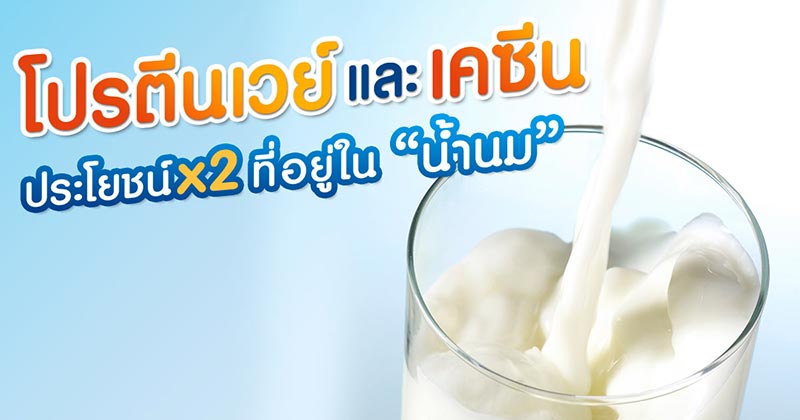 โปรตีนนม โปรตีนนม