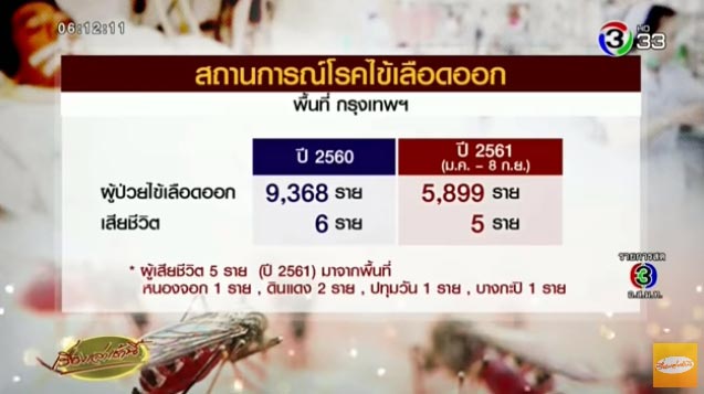 ไข้เลือดออก ไข้เลือดออก